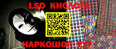 прущие грибы Ставрополь