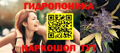 прущие грибы Ставрополь