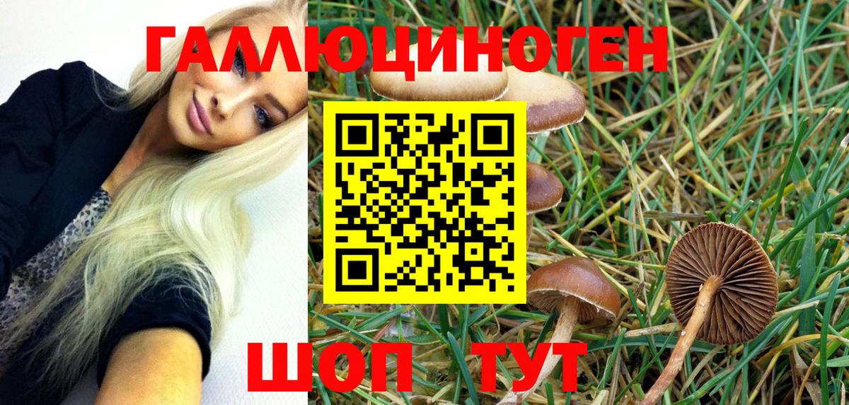 Псилоцибиновые грибы MAGIC MUSHROOMS  Вход с VPN  Новозыбков  Псилоцибиновые грибы GOLDEN TEACHER 